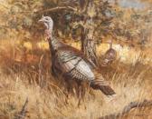 ABBETT Robert Kennedy Timberlake Turkeys ABBETT Robert Kennedy Timberlake Turkeys
