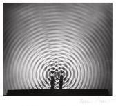 ABBOTT Berenice Interference Patern ABBOTT Berenice Interference Patern