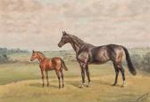 ACHESON CATTLEY GILBERT Race Horses ACHESON CATTLEY GILBERT Race Horses