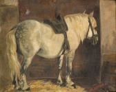 ACTON Walter Rob. Stewart Gesattelter Apfelschimmel Im Stall ACTON Walter Rob. Stewart Gesattelter Apfelschimmel Im Stall