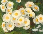 ADAM Hans-Karl Bouquet Mit Margeriten ADAM Hans-Karl Bouquet Mit Margeriten