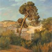 Adam Helena Pine Tree Overlooking The Old City Adam Helena Pine Tree Overlooking The Old City