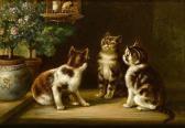 ADAM J.M. Three Kittens ADAM J.M. Three Kittens