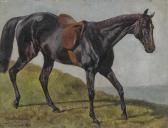 ADAM Richard Benno A Black Horse, Saddled ADAM Richard Benno A Black Horse, Saddled