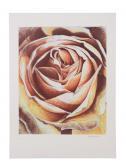 ADAMI Camille Rose ADAMI Camille Rose