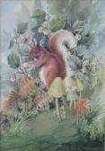 ADAMS Harry Clayton Red Squirrel ADAMS Harry Clayton Red Squirrel