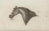 ADAMS John An Analysis Of Horsemanship ADAMS John An Analysis Of Horsemanship