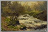 ADAMS John Clayton Falls Of Garbh Allt Ballochbuie Forest ADAMS John Clayton Falls Of Garbh Allt Ballochbuie Forest