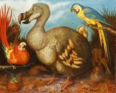 ADAMS Jonathan Edward's Dodo 1626 ADAMS Jonathan Edward's Dodo 1626