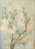 ADAMS Marcus Flowering Magnolia Buds ADAMS Marcus Flowering Magnolia Buds