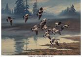 ADAMSON Harry Curieux Veiled Landing Canada Geese ADAMSON Harry Curieux Veiled Landing Canada Geese