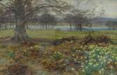 ADDISON W.G. Daffodils Amongst Woodland ADDISON W.G. Daffodils Amongst Woodland
