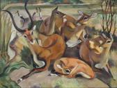 ADDISON WALTER Herd Of Gazelles By River ADDISON WALTER Herd Of Gazelles By River