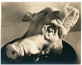 AGHA Mehemed Fehmy Tête De Cochon AGHA Mehemed Fehmy Tête De Cochon