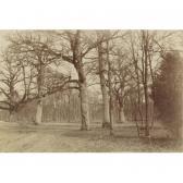 AGUADO Olympe, comte Forest Scene, Bois De Boulogne AGUADO Olympe, comte Forest Scene, Bois De Boulogne