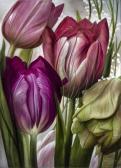 Aigner Lukas Johannes Le Son Des Tulipes - Der Klang Der Tulpen Aigner Lukas Johannes Le Son Des Tulipes - Der Klang Der Tulpen
