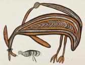 AKIS TIMOTHY Spirit Wallaby AKIS TIMOTHY Spirit Wallaby