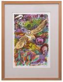 akroyd Carry A Court For Owls akroyd Carry A Court For Owls