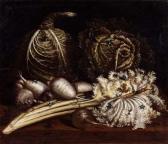 ALBERTI Pietro Martire Natura Morta Con Rape, Verze Ecardo ALBERTI Pietro Martire Natura Morta Con Rape, Verze Ecardo