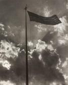 ALBOK John Le Drapeau Américain ALBOK John Le Drapeau Américain