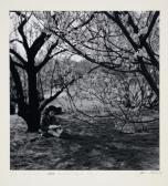 ALBOK John The Artist! Central Park ALBOK John The Artist! Central Park