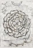 ALISON KELLY The Meaning Of A Flower ALISON KELLY The Meaning Of A Flower