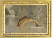 ALKEN Samuel Henry G. II Leaping Brook Trout ALKEN Samuel Henry G. II Leaping Brook Trout