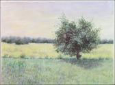 ALLEGRETTI MARJORIE Queen Ofthe Meadow ALLEGRETTI MARJORIE Queen Ofthe Meadow