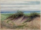 ALLEGRETTI MARJORIE Saw Grass Dune ALLEGRETTI MARJORIE Saw Grass Dune