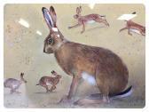ALLEN James Baylie Brown Hare Study ALLEN James Baylie Brown Hare Study