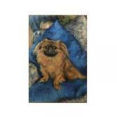 ALLEN Robert C.G. Pekingese 'jero's Pu Zin' ALLEN Robert C.G. Pekingese 'jero's Pu Zin'