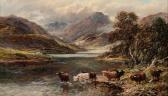 ALLEY F. Highland Cattle By A Loch ALLEY F. Highland Cattle By A Loch