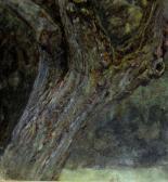 ALLINGHAM Helen Cyder Apple Trunk Apparently ALLINGHAM Helen Cyder Apple Trunk Apparently