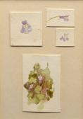 ALLINGHAM Helen Studies Of Flowering Weeds, Possibly Creeping Charlie ALLINGHAM Helen Studies Of Flowering Weeds, Possibly Creeping Charlie