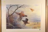 Allis P. Pheasants Allis P. Pheasants