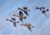 ALLISON James Incoming Mallard ALLISON James Incoming Mallard