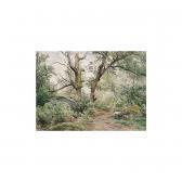 ALLONGE Auguste La Foret ALLONGE Auguste La Foret