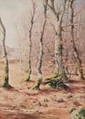 ALLONGE Auguste Les Bouleaux Dans Les Bois Du Nugeyre En Décembre ALLONGE Auguste Les Bouleaux Dans Les Bois Du Nugeyre En Décembre