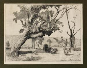 Precios y estimaciones de las obras Carlos Alvarado Lang