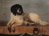 AMER G.J. Study Of A Newfoundland Dog Sitting On A Dock AMER G.J. Study Of A Newfoundland Dog Sitting On A Dock
