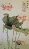 AN Yufei Mandarin Ducks Swimming Amidst Lotus Flowers And Leaves AN Yufei Mandarin Ducks Swimming Amidst Lotus Flowers And Leaves