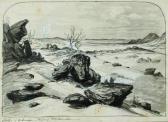 anastasi paul joseph Fontainebleau, Les Sables D'arbonne anastasi paul joseph Fontainebleau, Les Sables D'arbonne