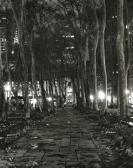 ANATOLY PRONIN Bryant Park At Night, Manhattan, New York, Usa From Dark Side Of New York ANATOLY PRONIN Bryant Park At Night, Manhattan, New York, Usa From Dark Side Of New York