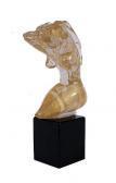 ANATRA RENATO A Nude Kneeling Woman ANATRA RENATO A Nude Kneeling Woman