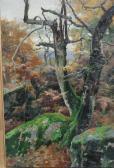 ANCILLOTTI TORELLO Sottobosco ANCILLOTTI TORELLO Sottobosco