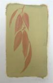 ANDERSON Wendy Leaf Study ANDERSON Wendy Leaf Study