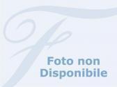 ANGELINI annibale Cavallo Tornese ANGELINI annibale Cavallo Tornese