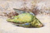 ANGELL COLEMAN Helen Cordelia A Pair Of Still Lives Of Dead Birds ANGELL COLEMAN Helen Cordelia A Pair Of Still Lives Of Dead Birds