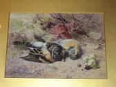 ANGELL COLEMAN Helen Cordelia Dead Finches ANGELL COLEMAN Helen Cordelia Dead Finches