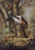ANGERMEYER Johann Adalbert A Forest-floor Still Life With A Thrush On A Branch ANGERMEYER Johann Adalbert A Forest-floor Still Life With A Thrush On A Branch